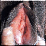 GC-Female-Use.courtesy.of.SSGT.Tony.Gray GC-Female-Use.courtesy.of.SSGT.Tony.Gray